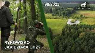Stag Hunt in Polish Forests | GAME Breeding Centres
