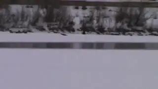 Вылазка в Лес на Енисей.