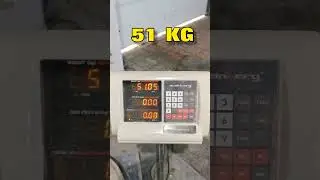 Key Pinch WALNUT GIANT LIFT 51 KG #worldrecord