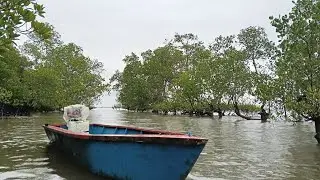 Two days of fishing for shrimp on the seashore in the rain all day