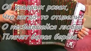 Белая береза - караоке под гармонь.
