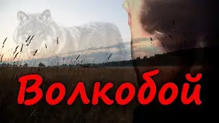 Волкобой миф или правда. Старинные находки с металлоискателем. Новое видео 2022.