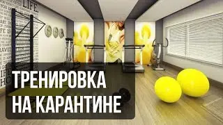 ТРЕНИРОВКА НА КАРАНТИНЕ. КАК ТРЕНИРОВАТЬСЯ ДОМА БЕЗ ГАНТЕЛЕЙ 