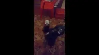 танец от души ))) вашему вниманию Хана