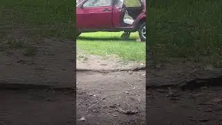Зайчик #животные #кролик #зайчики #рекомендации #тренды #девятка
