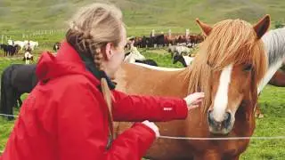 ICELAND DAY 9 & 10 - Krafla Viti crater, Godafoss, Icelandic Horses, Hraunfossar & Barnafoss