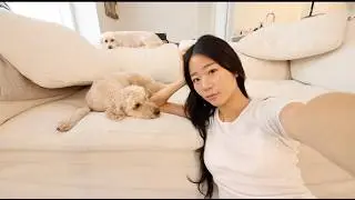 Got so sick that I missed my flight to Korea | Evelyn Ha