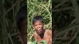 Primitive Technology,  Cook Chicken Liver With Tomato For Food #2