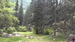 Ущелье Ала-Арча