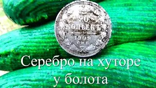 Имперское серебро на хуторе у болота. imperial silver on afarm near the swamp.