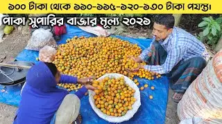 আজকের পাকা সুপারির বাজার দাম | পাকা সুপারির বাজার মূল্য ২০২১
