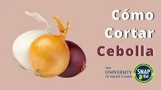 Cómo Cortar Cebolla