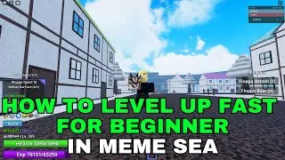 HOW TO LEVEL UP FAST FOR BEGINNER IN MEME SEA ROBLOX