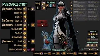 ПВЕ комбо на Сколария Black Desert