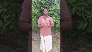 Vivasayam and harvesting #shorts #viral