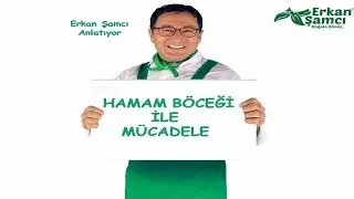 Hamam böcekleri evlerimize neden gelir?