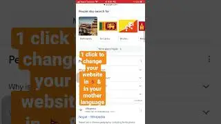 One click to change your website language as you like