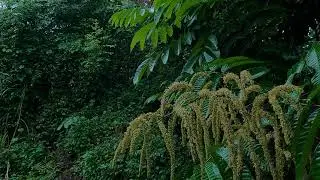 rain sounds short video,eavy rain sounds short video,rain sounds for sleeping short video MBN RELAX