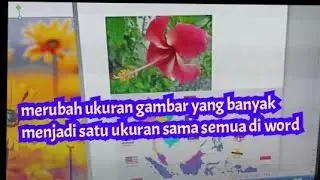 merubah ukuran  gambar yang banyak di word supaya sama semua dengan cepat