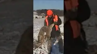 Right thru the ears