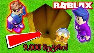 თამაში გავაფუჭეთ და რეკორდი მოვხსენით!! (ROBLOX)