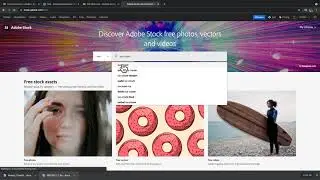 Get Free Photos and Vectors from Adobe Stock