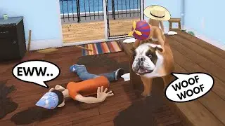 OUR DOG HAD DIARRHEA AND DAD SLIPPED ON IT WITH FACE INTO POOP!!! (Who's Your Daddy)