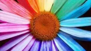 Wayne Dyer/