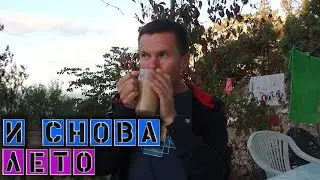 Ночую на фазенде в Симеизе / Домашние Ежи / Большой поход / Две фотосессии @игнатсолошенко 485
