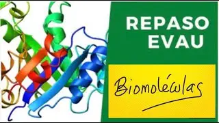 Actividades Evau Biomoléculas  (narrado)