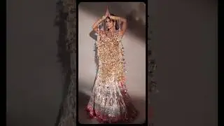 Learn More About Ritika Khatnani's National Costume For Miss Supranational 2022