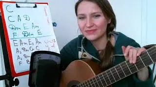 Не секрет  что друзья не растут в огороде, на гитаре, кавер.
