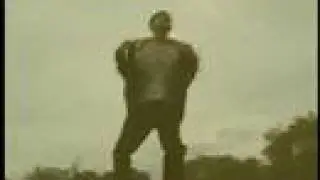 Difuzion - Бичи
