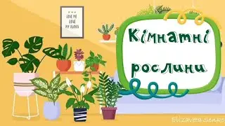 Заняття "Кімнатні рослини"