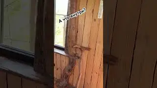 Детская мечта пожить в доме на дереве.