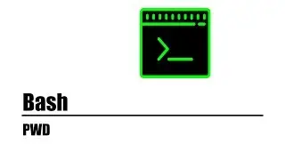 Bash programming  | pwd