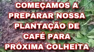 PRIMEIRO PASSO PARA PREPARAR O CAFÉ PARA PRÓXIMA COLHEITA