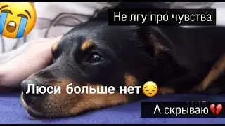 Прощай Люся😔 Любимая собака Эдисона// ПОМНИМ ОЮБИМ И СКОРБИМ!!!