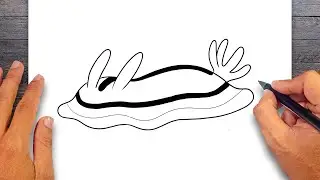 How to draw Nudibranch - Mollusks Drawing