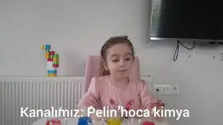 Yürüyen Renkler