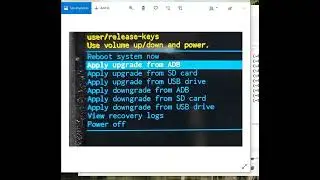 Zebra A11 Android OS or LG Update