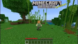 Juega Mineraft en tu C4na1ma