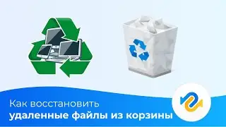 Как восстановить файлы из корзины Windows? 2024 Полные Способы
