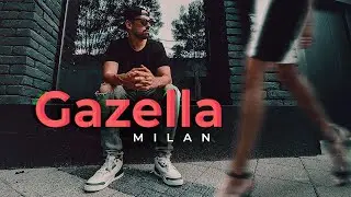 MILAN - Gazella 