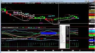Video Report July 7, 2014