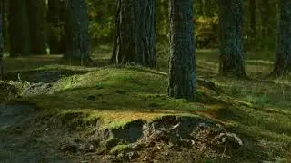 кратко о моих стёклышках