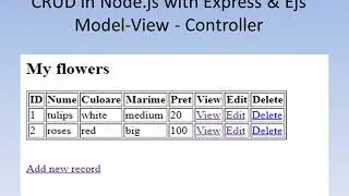 Node.js MySQL CRUD MVC Model - View - Controller