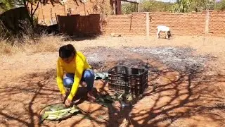 VIDA SIMPLES NA ROÇA CUIDANDO DOS ANIMAIS, PORCO, GALINHA E OVELHA
