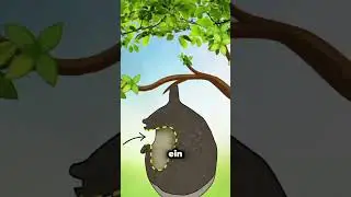 Das Vogelnest, das die Schlange täuscht