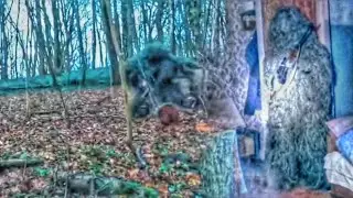 ЛЕШИЙ ВОЗВРАЩАЕТСЯ!? |ПАША ПЭЛ|